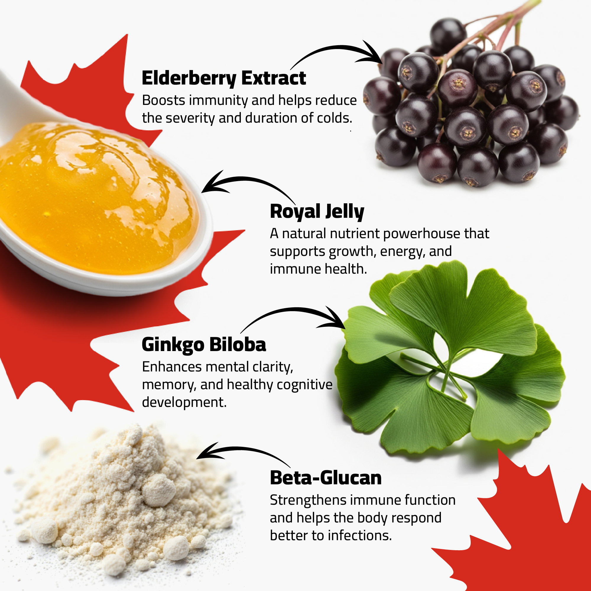 MapleMax Immuno Syrup - Image 4