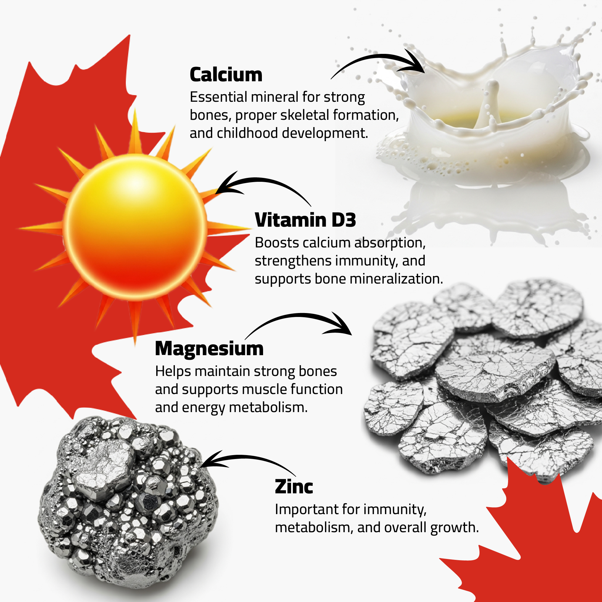 OsteoKids Plus Syrup - Image 4