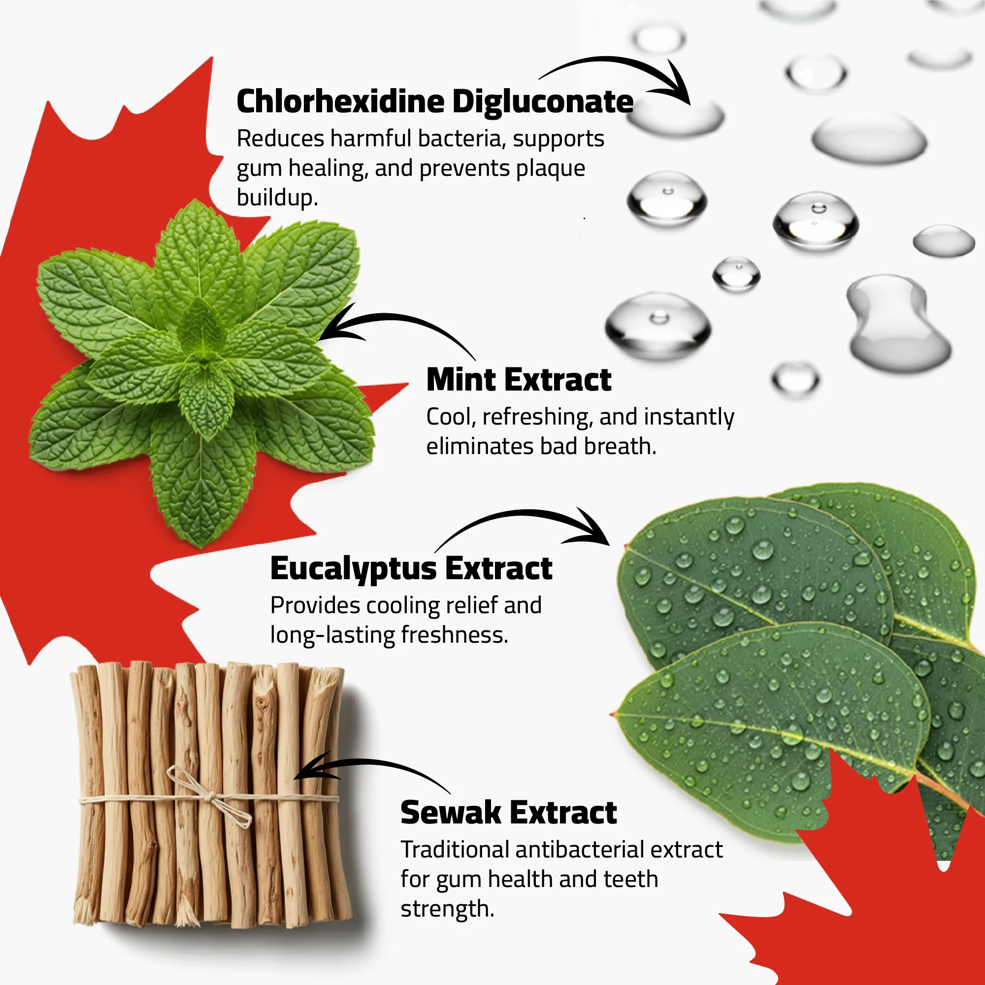 مابل فريش غسول الفم - الصورة 3